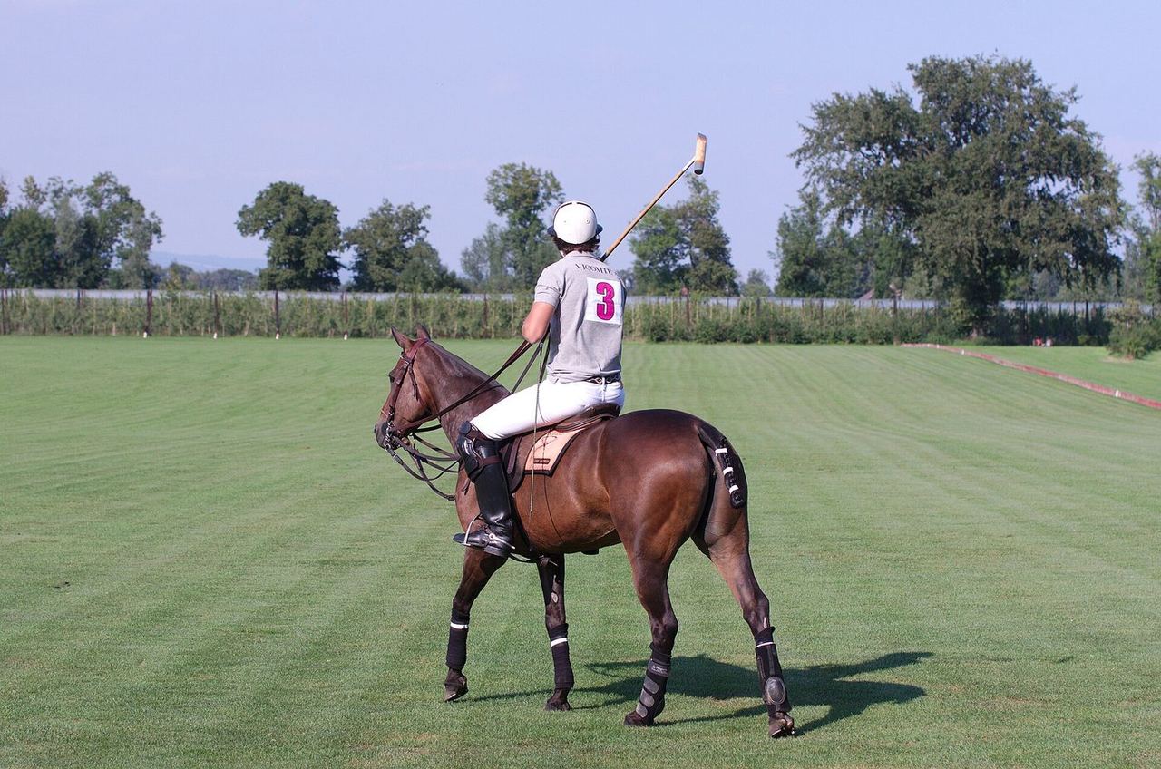 Uruguayische Polo-Open — Bild