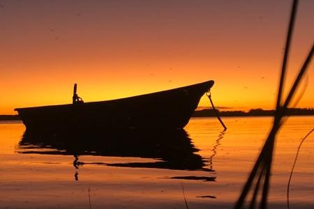 Escuela de Surf — clases de surf en Playa Brava, José Ignacio