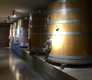 Fiesta de la Vendimia – Bodega Garzón — featured image