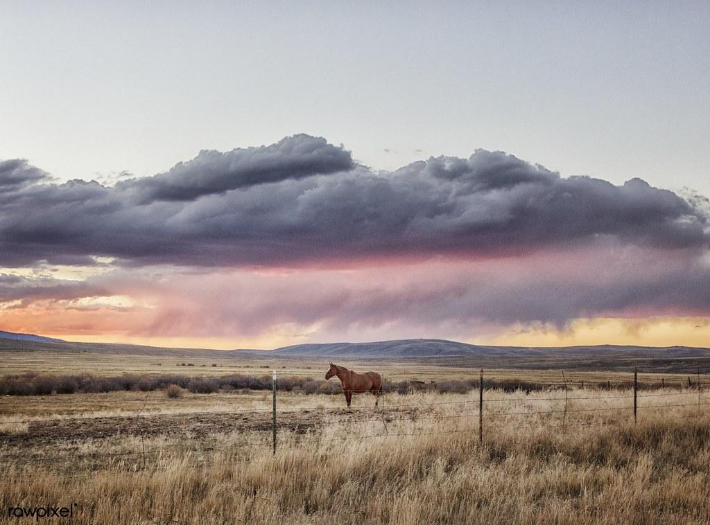Estancia Santa Cruz — Bild