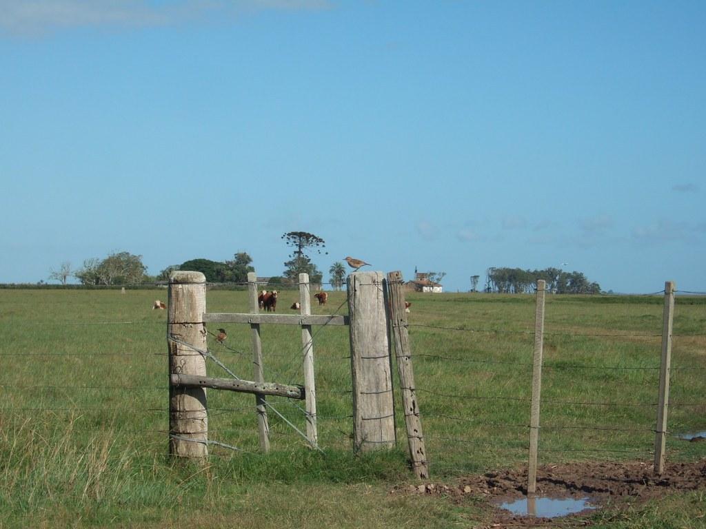 Estancia Vik — imagen destacada