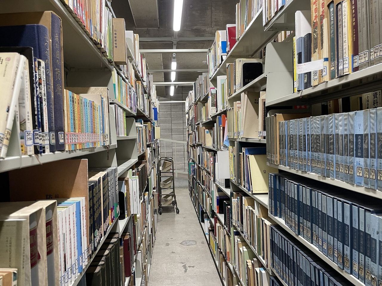 Bibliothek, Casa de la Cultura und Touristeninformation Garzón — Bild