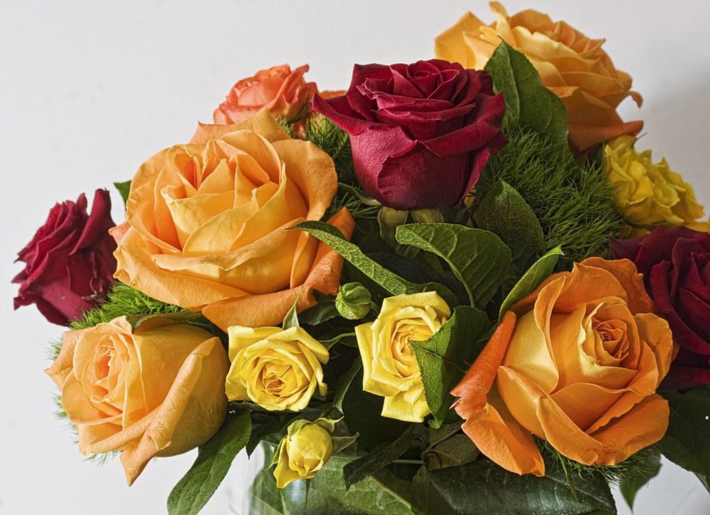 Hannah Sandling - Diseno floral — imagen destacada