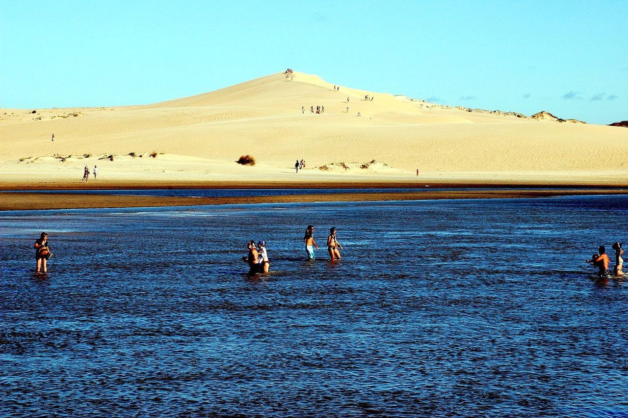 Las Garzas — Bild